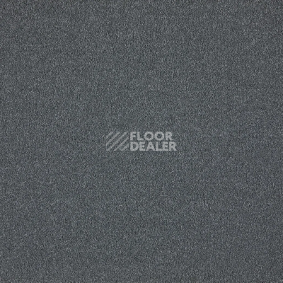 Ковролин AW Westminster 79 фото 1 | FLOORDEALER